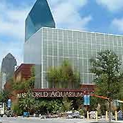 Dallas World Aquarium - Dallas Radio Stations