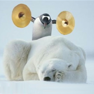 Funny Penguin Pictures #2